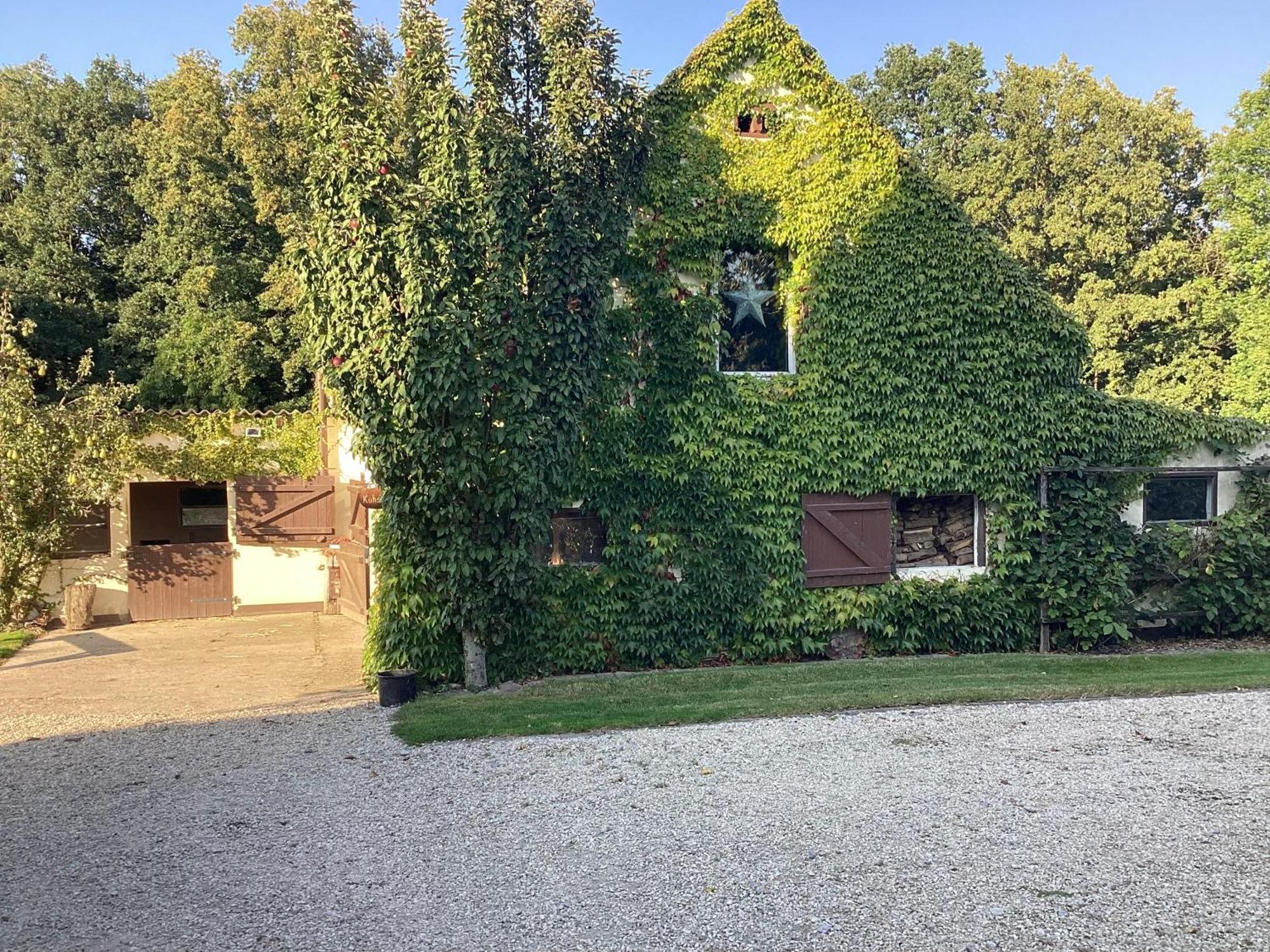 Kuhlmanns Hof Apartment Vlotho Luaran gambar